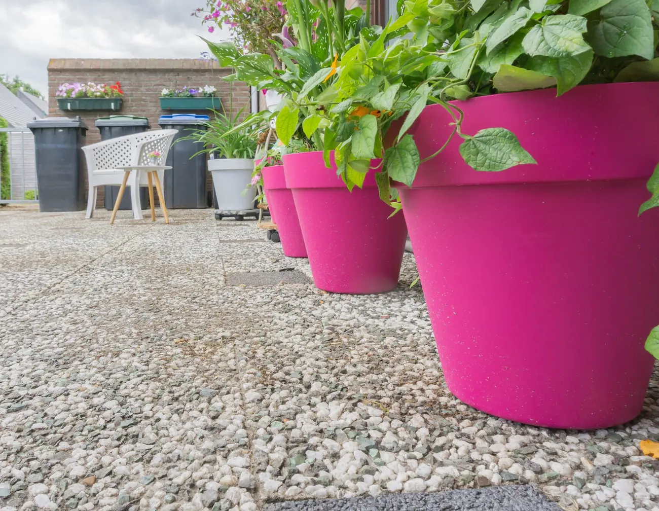 A magyarok felhagynak a klasszikus virágcserepek vásárlásával, már ezt veszik helyette