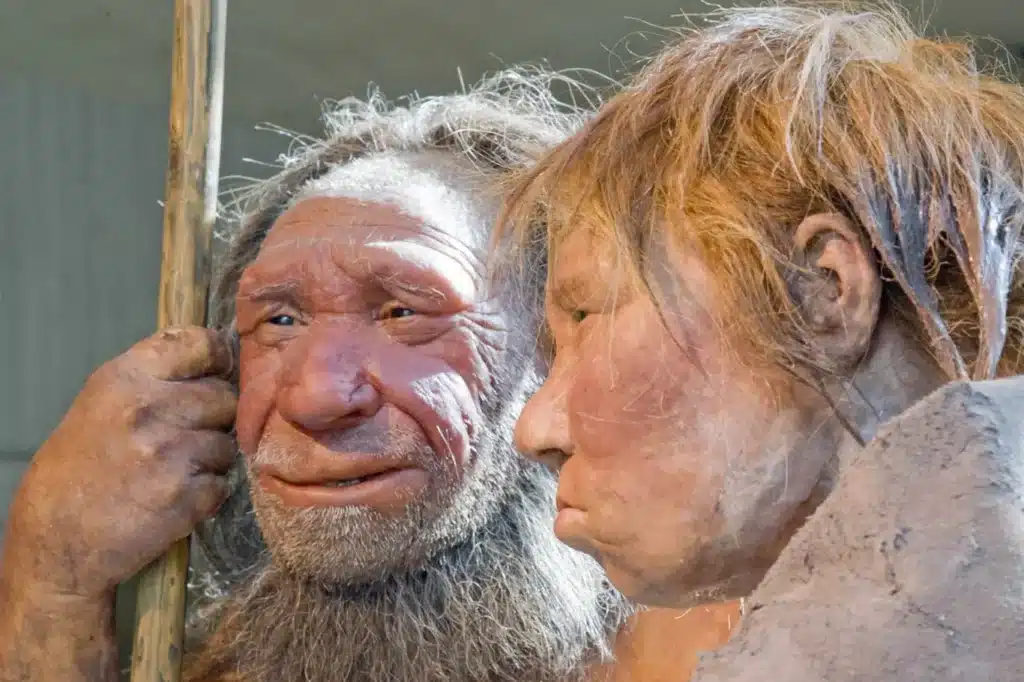 Van bennünk neandervölgyi DNS? A koponya alakja elárulhatja – de csak negyven év felett