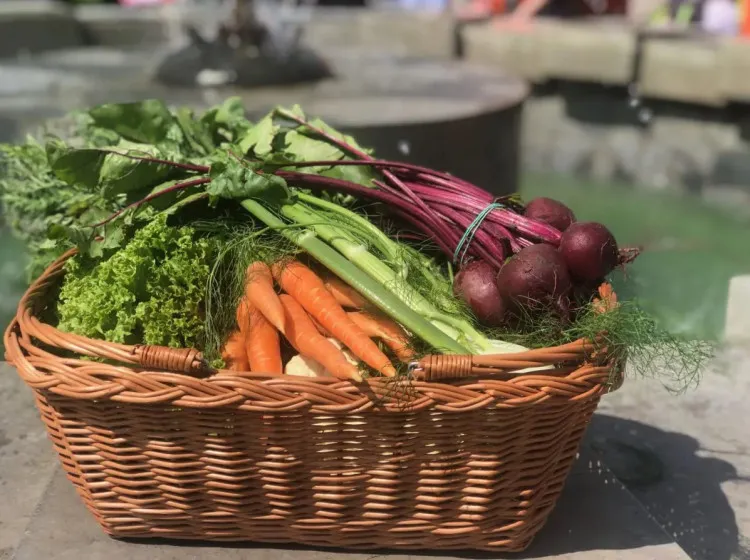 Mindenki kidobja a zöldségnek ezt a részét, pedig több vitamint tartalmaz, mint maga a termés